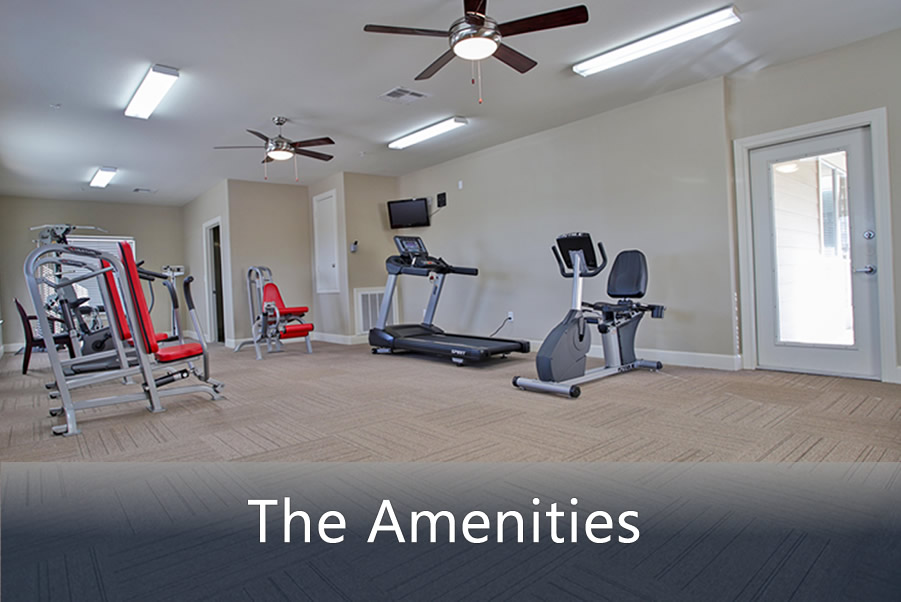 Features & Amenities